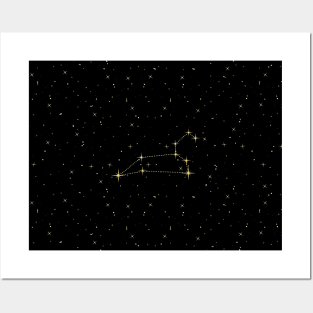 Leo Star Constellation Posters and Art